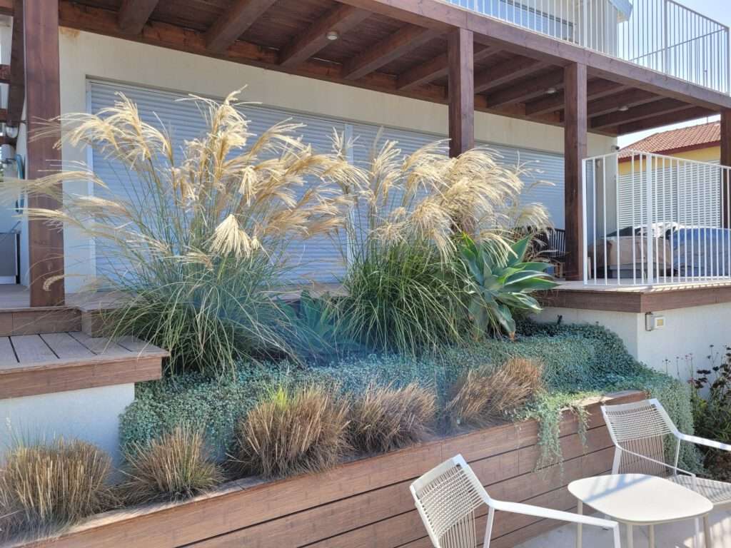 עיצוב גינה מודרנית